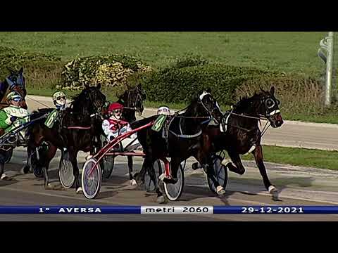 Aversa trotto 29 Dicembre 2021 - 1° Corsa