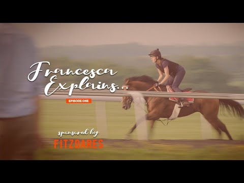 Francesca Explains Episode 1 - Training!