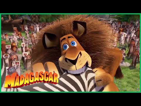 Capa de DreamWorks Madagascar em Português - Alex Louco