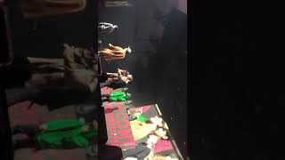 Download lagu iKON 2018 CONTINUE TOUR in Melbourne - iKON Soundcheck 2 mp3 Download lagu iKON 2018 CONTINUE TOUR in Melbourne - iKON Soundcheck 2 mp3