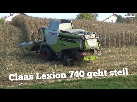 Speed-Dreschen - Claas Lexion 740 rast durch den Mais - Maisdreschen ´25 -Lohnbetr. Zollner gibt Gas