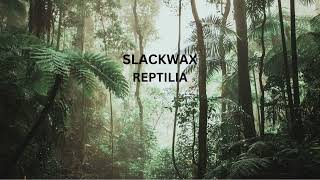 Slackwax - Reptilia video
