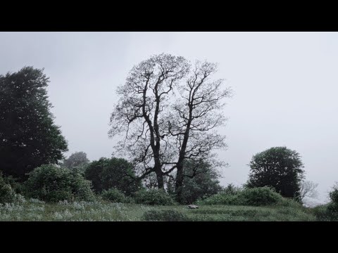 Dorcci x Kagan - Behesht (Official Lyric Video)