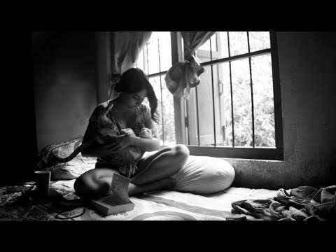 Mornings with my cat // Story 12