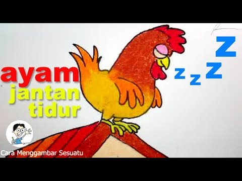  Mewarnai Ayam Jago Dengan Crayon  Gambar Mewarnai  Gratis