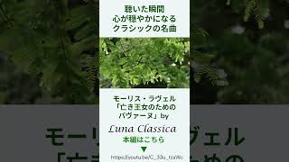 Download lagu 亡き王女のためのパヴァーヌ #piano #ピアノ #violin #ルナクラシカ #music#ラヴェル#music #亡き王女のためのパヴァーヌ＃LunaClassica#ヴァイオリン mp3