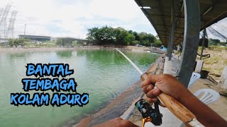 Download lagu BANTAL TEMBAGA 2.250KG KOLAM ADURO mp3 Download lagu BANTAL TEMBAGA 2.250KG KOLAM ADURO mp3