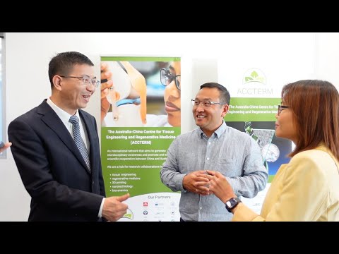 Workshop de tradução com Guangdong Medical Valley