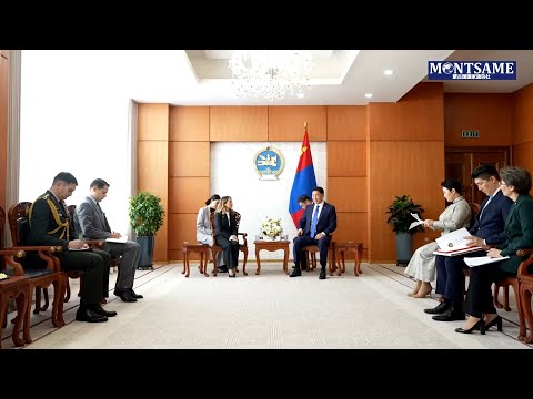 土耳其新任驻蒙古国大使向总统递交国书