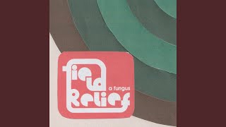 A Fungus - Field Relief (2025) video