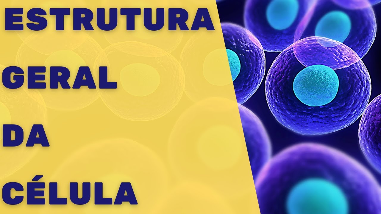Estrutura geral da célula – Fisiologia Humana