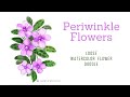 Draw And Paint Periwinkle Flowers Watercolor Periwinkle Flowers How To Paint Periwinkle Flowers