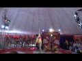 Цирк "АРЛЕКИНО" 