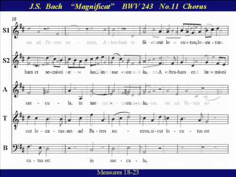 JS Bach Magnificat BWV 243-11 Sicut-Bass