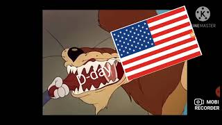 Ww2 tom and jerry Eastern front and western front