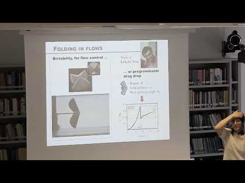 Sophie Ramananarivo (LaDHyX, École Polytechnique)