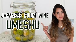 【Japanese Aromatic Wine】Recipe | Only 10 DAYS! The fastest way to make homemade Plum Wine | 最短で梅酒♪