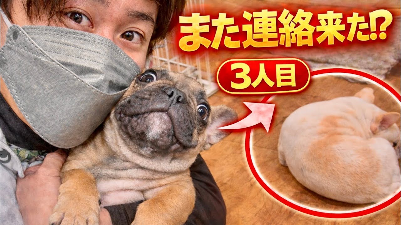 【衝撃】また来た！？三人目の兄弟ご家族様から連絡が来ました！！