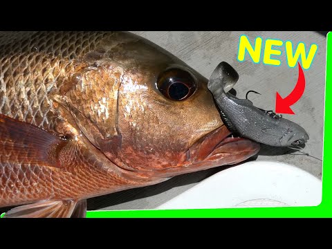 Solo 2 day overnight - Fishing challenge with Real Baitz - Catch and Cook - EP.573