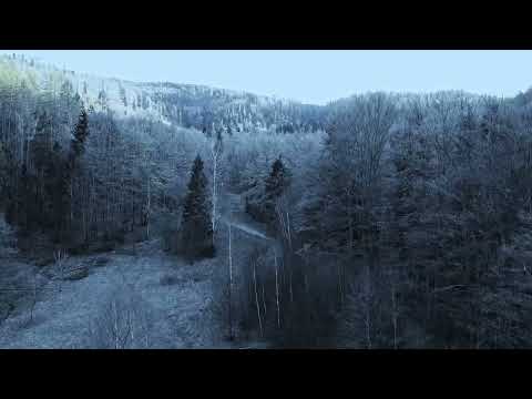 ASGAARD - W sercu nieświata