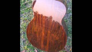 Whatnot Guitar - Recycled  Brazilian Rosewood from furniture!
