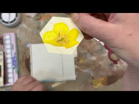 Essence of Time - day 75/100 - put SPECIMEN SLIDES in - #100dayschallenge #junkjournal #processvideo