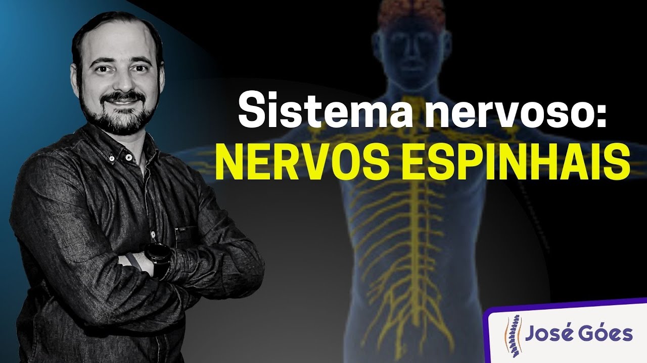 Sistema nervoso: NERVOS ESPINHAIS | José Góes