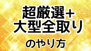 【城ドラ#206】大型全取り＋超厳選のやり方初心者向け【なおとさんの城とドラゴン実況】