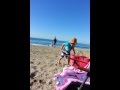 Seagull Mayhem