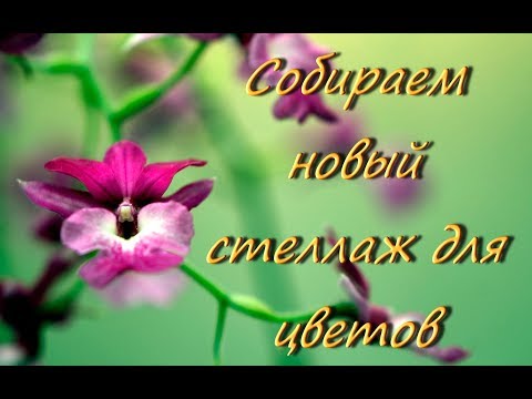 Собираем новый стеллаж для цветов