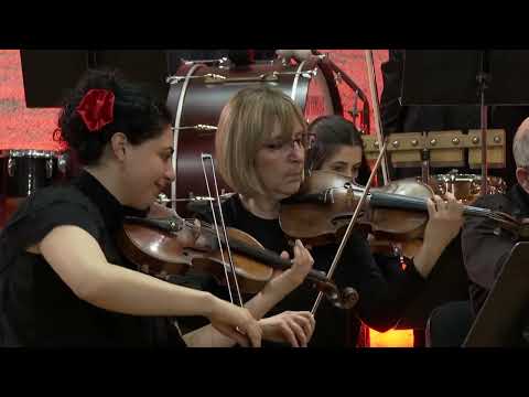Carmen suite - Bizet-Shchedrin | National Chamber Orchestra of Armenia | Robert Mlkeyan