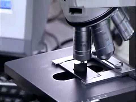 DURIT - Hart, stark und weltweit erfolgreich!