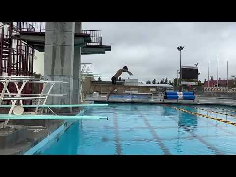 Diving, Front Dive Tuck, 1 meter leadups