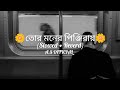 Tor Moner Pinjiray Jisan Khan Shuvo Slowed And Reverb Bengali Lofi