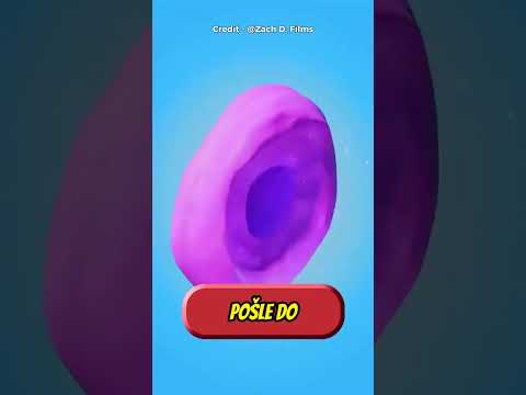 Co se stane, když si vojenský pes zlomí zub? 🤔