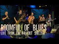 'Zydeco Boogaloo' - Roomful Of Blues