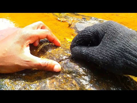 VEJA AONDE o OURO se "ESCONDE"??? #GARIMPO de #OURO!