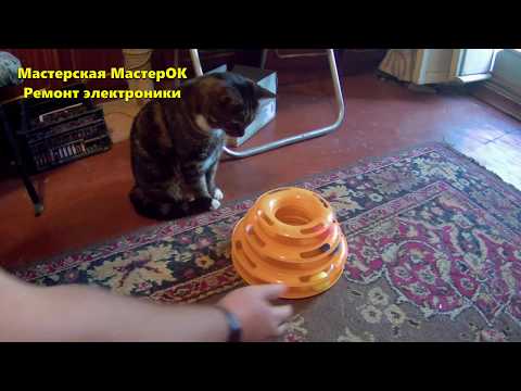 Кошководы и котолюбители будут довольны, а их коты счастливы