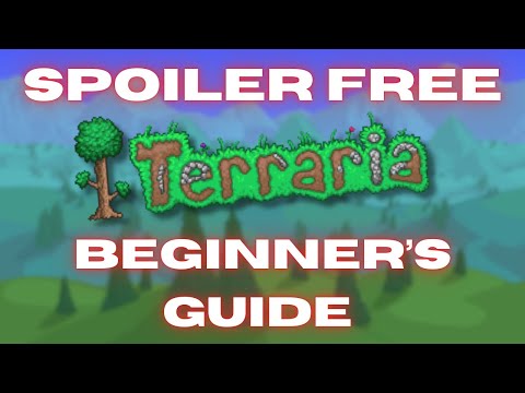 Spoiler Free Beginner Guide | Terraria