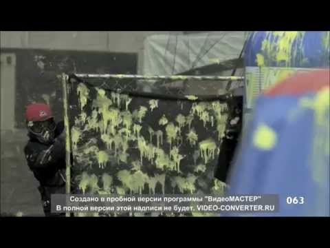 The Best Videos Compilation