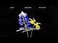 Wale Down South Feat Yella Beezy Maxo Kream Official Audio