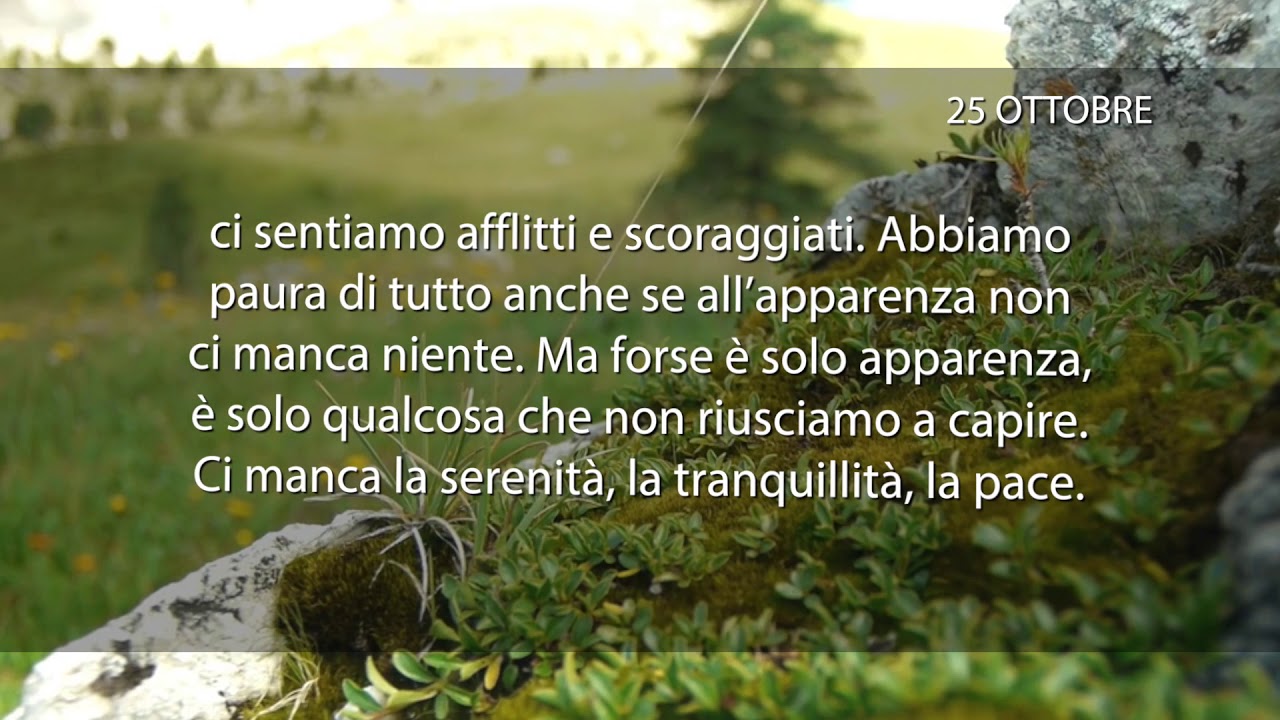 Meditazione del 25 Ottobre 2018 “PAURA”