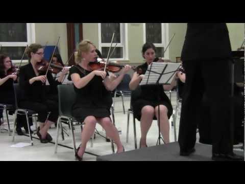 The Ravenswood Community Orchestra performing Hoe-Down!.
