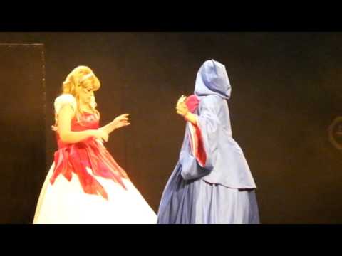 J-PopCon 2016 - Group 10 - Cinderella - Cinderella, Drizella & Anastasia Tremaine