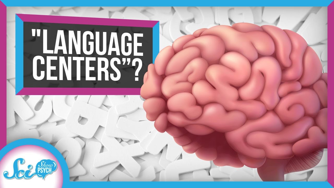 YD4002: What We Often Get Wrong About the Brain's 