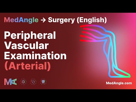 Peripheral Vascular Exam (Arterial) - MedAngle Surgery (English)