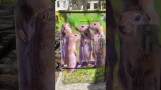 【カナダ紹介】AB州カルガリー #mymountainlife #カナダで田舎暮らし #海外移住 #カナダ暮らし #カナダ生活 #canada #海外在住 #calgary #カルガリー #観光