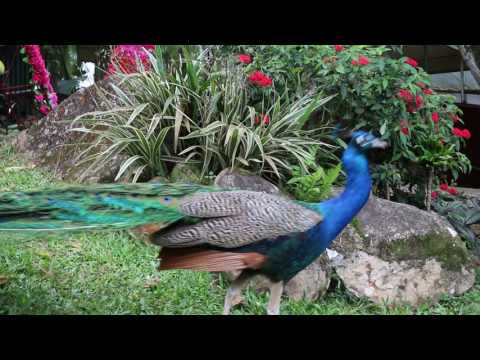 LYNELL'S PRE-DEBUT PHOTOSHOOT VIDEO 4/13