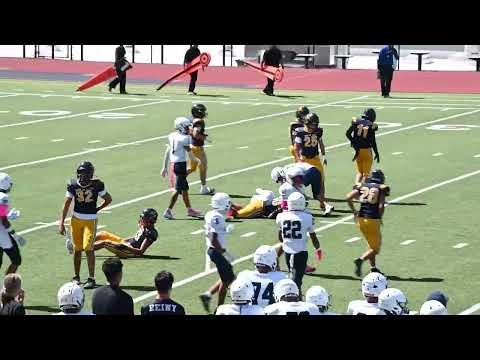 2026 Season Special Teams Highlights through October 11