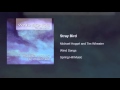 Michael Hoppé and Tim Wheater - Stray Bird